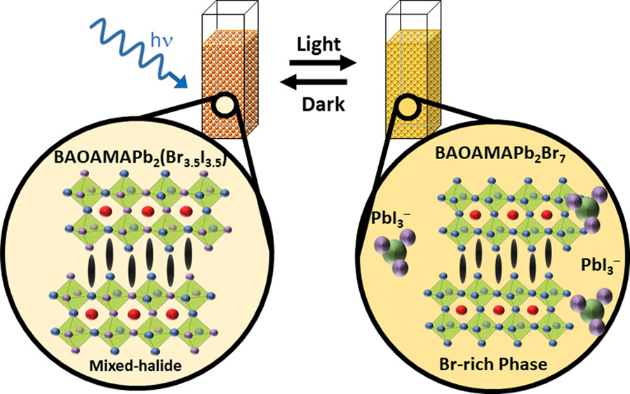 Reversible Phase Transformation of Colloidal 2D Lead Halide Perovskite Platelets under Photoirradiation